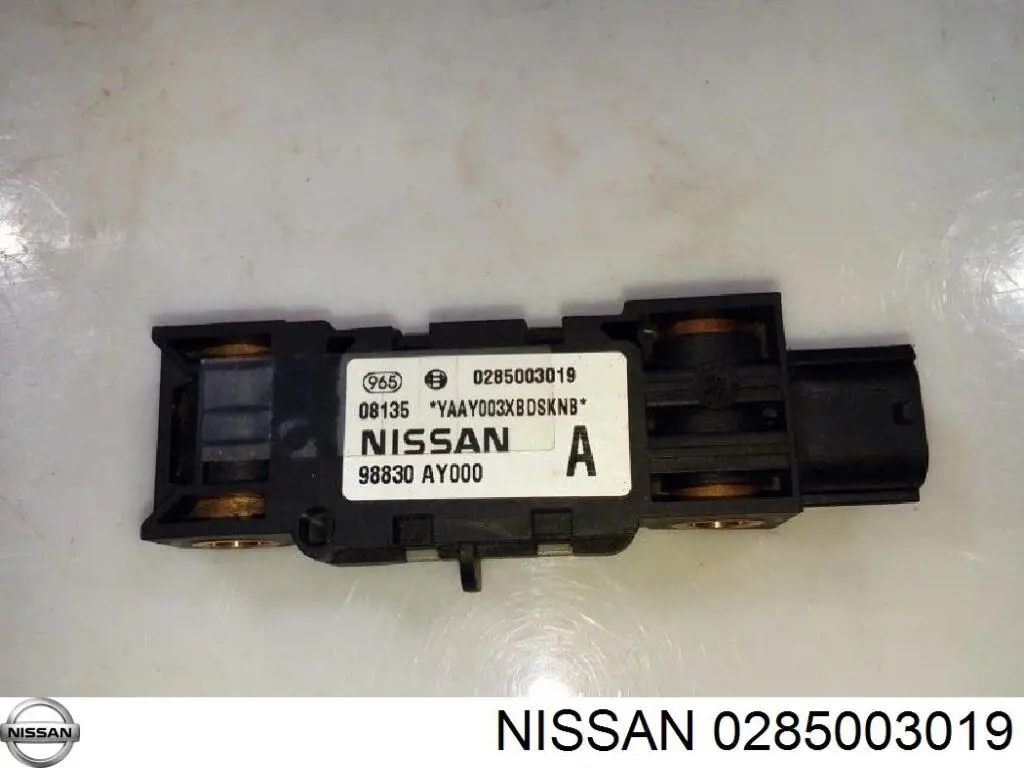 0285003019 Nissan 