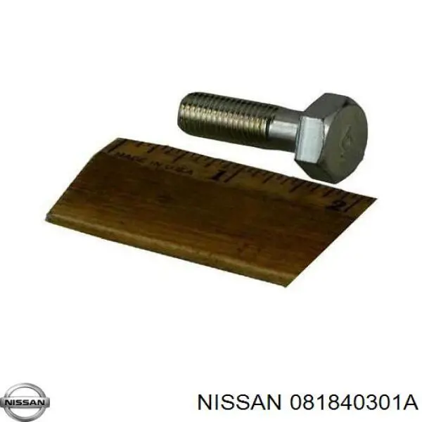 081840301A Nissan/Infiniti 