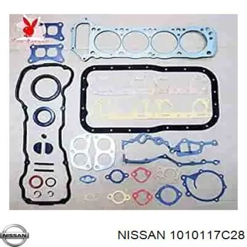  1010117C28 Nissan