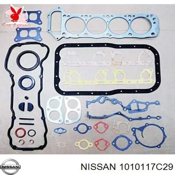  1010117C29 Nissan