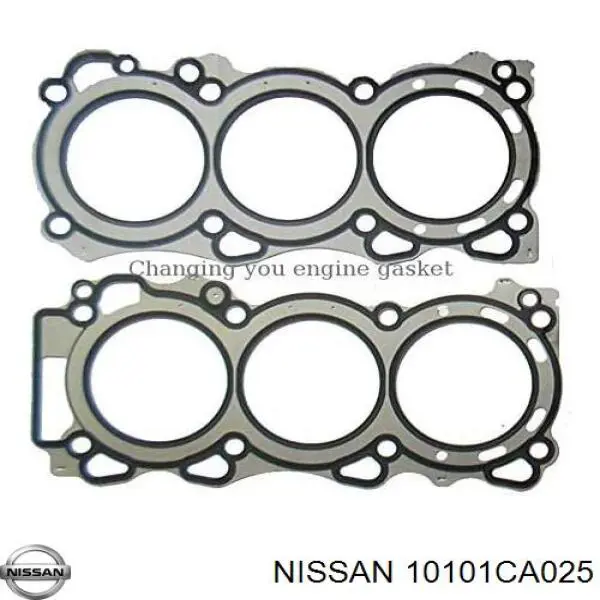 101018J025 Nissan комплект прокладок двигателя полный