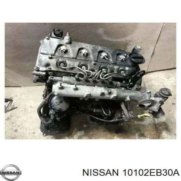 10102EB30A Nissan