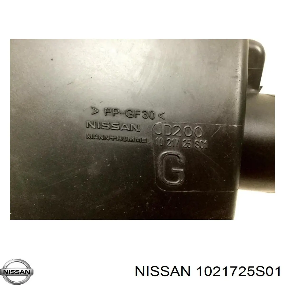  1021725S01 Nissan/Infiniti
