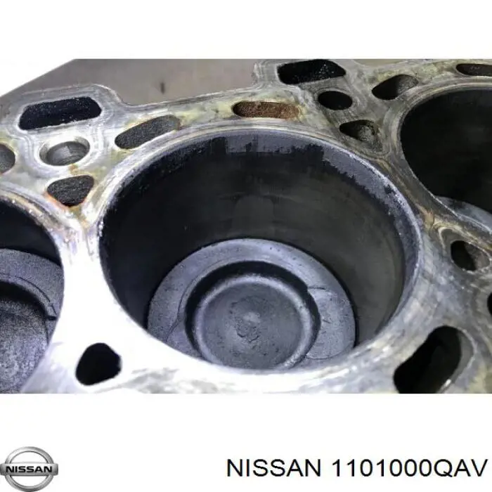 1101000QAV Nissan 