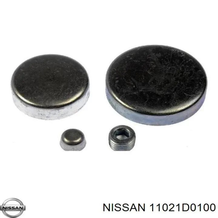 Заглушка ГБЦ/блока цилиндров Nissan 11021D0100
