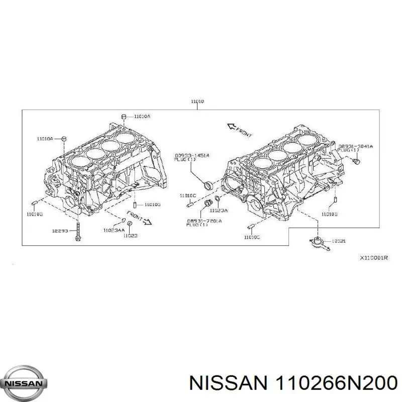 110266N200 Nissan 