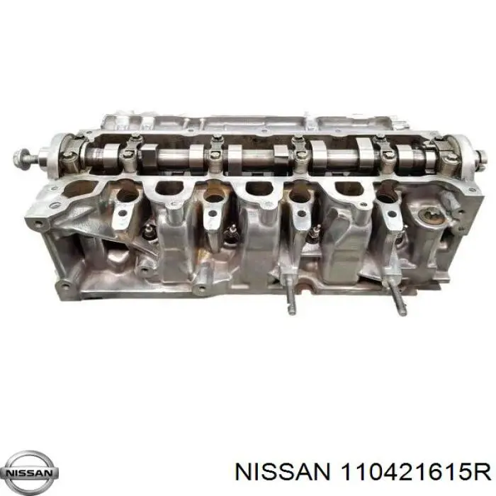  110421615R Nissan