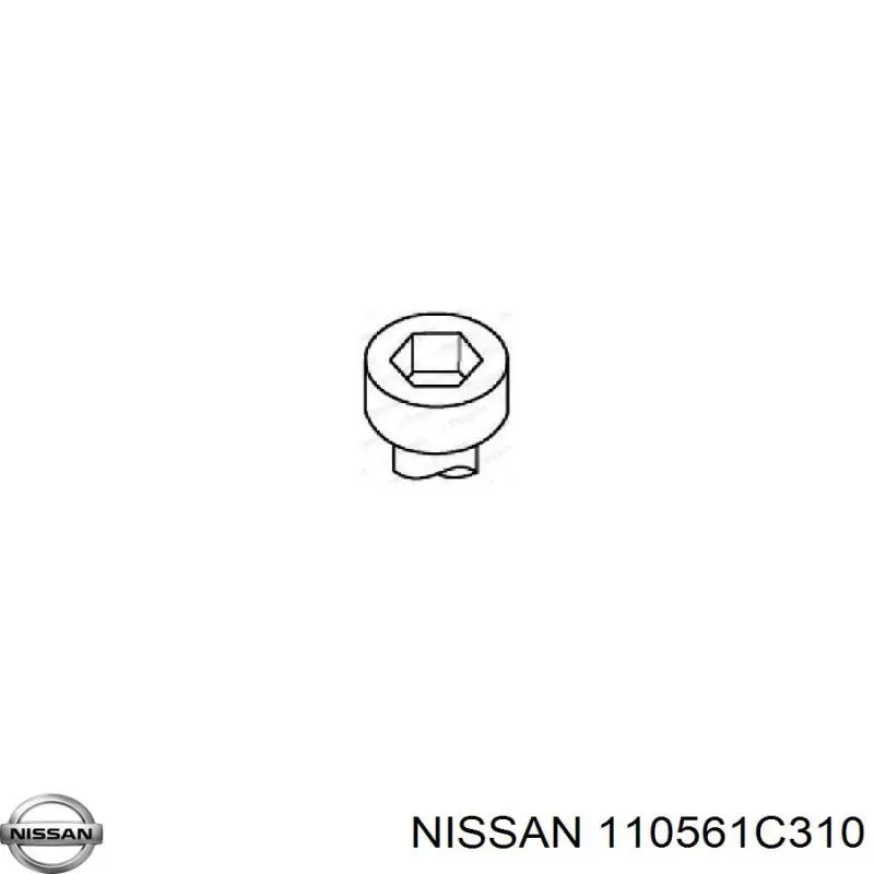 110561C310 Nissan 