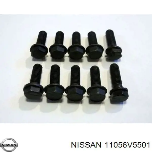11056V5501 Nissan/Infiniti 