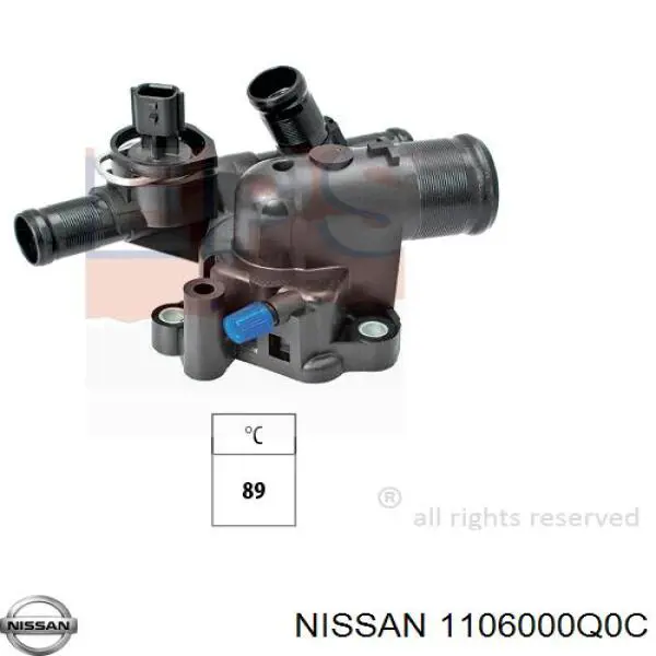 1106000Q0C Nissan termostato