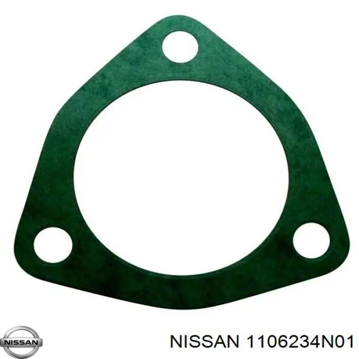  1106234N01 Nissan