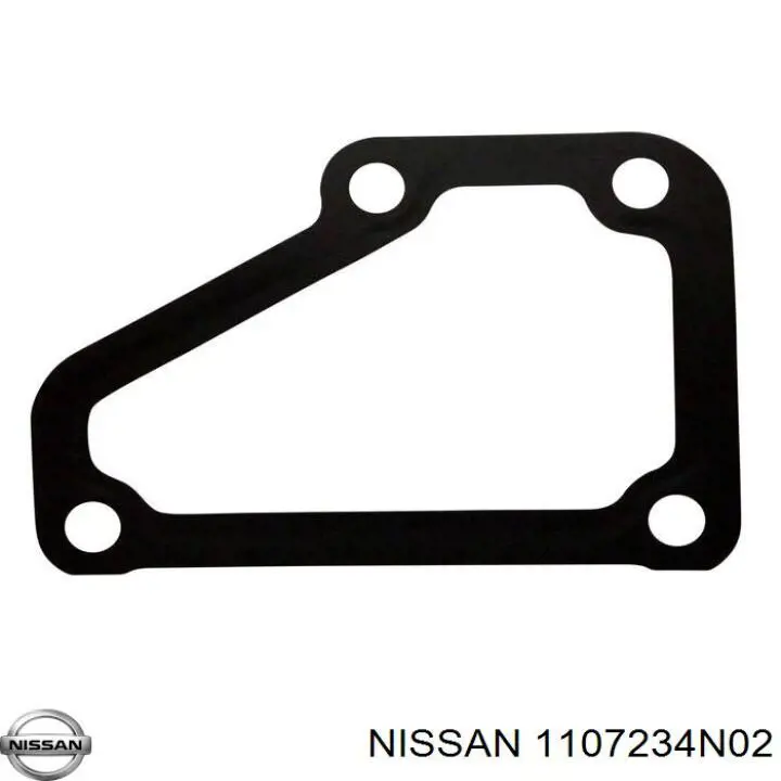  1107234N02 Nissan