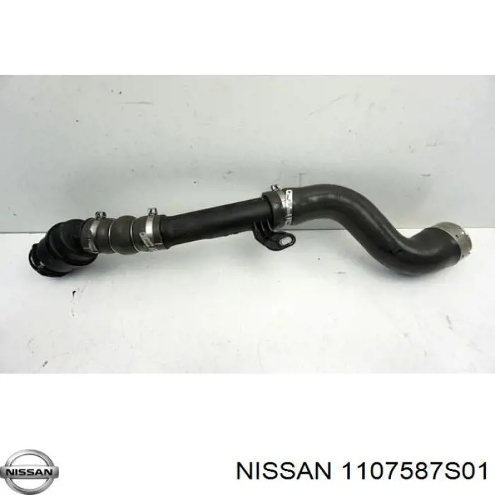  1107587S01 Nissan