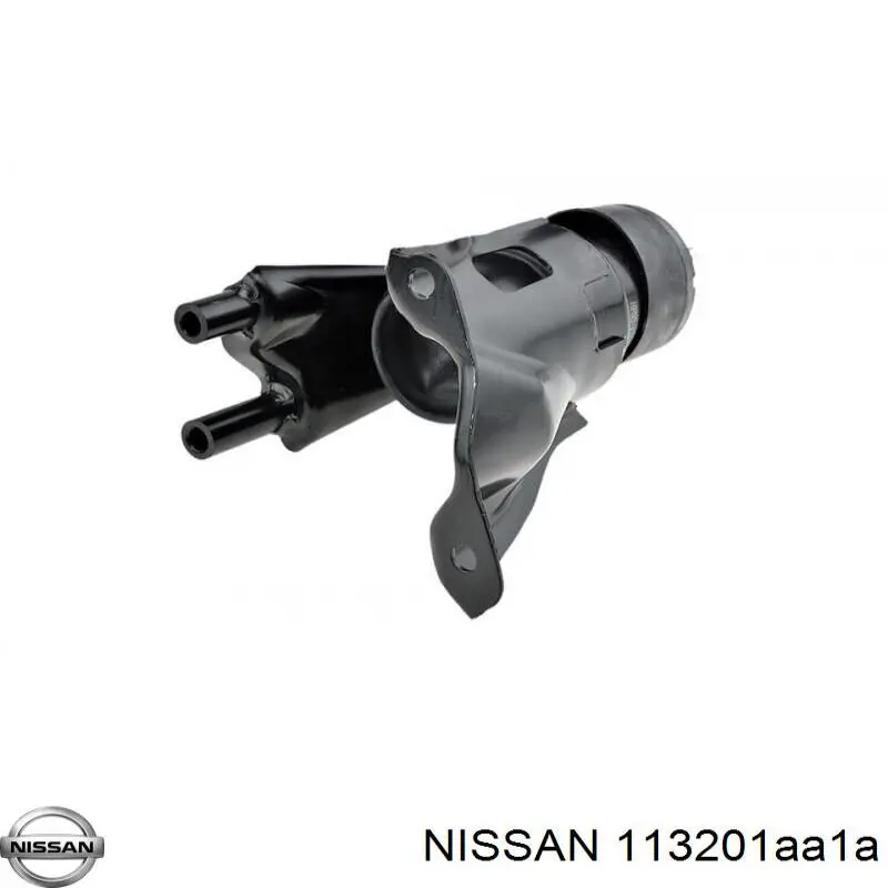 Coxim (suporte) traseiro de motor para Nissan Murano (Z51)