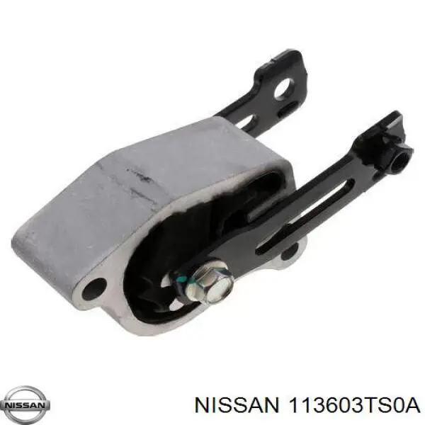  113603TS0A Nissan