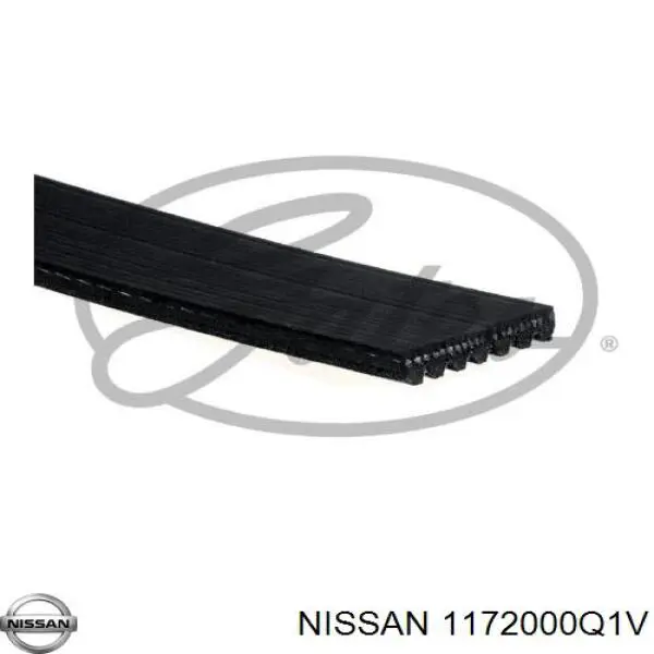 Клиновый ремень Nissan/Infiniti 1172000Q1V цена, от 15.50 USD