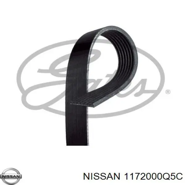 1172000Q5C Nissan 