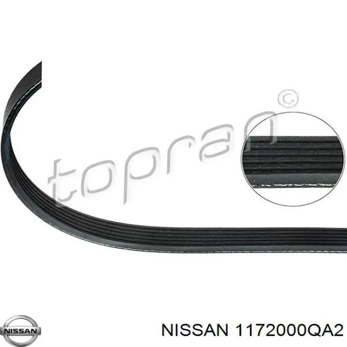 Клиновый ремень Nissan/Infiniti 1172000QA2 цена, от 11.35 USD