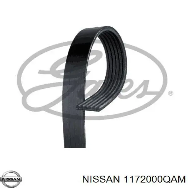 Ремень генератора 1172000QAM Nissan