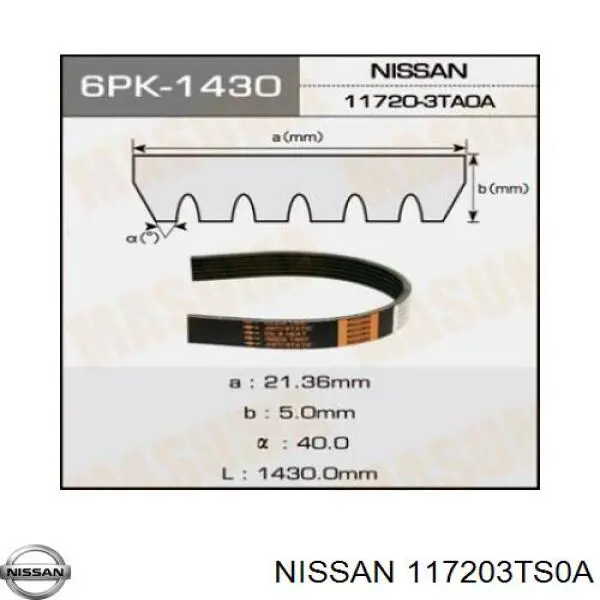 117203TS0A NISSAN Correa trapezoidal original y equivalente