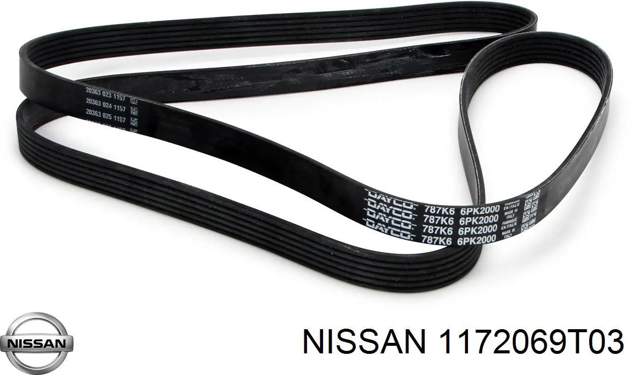  1172069T03 Nissan