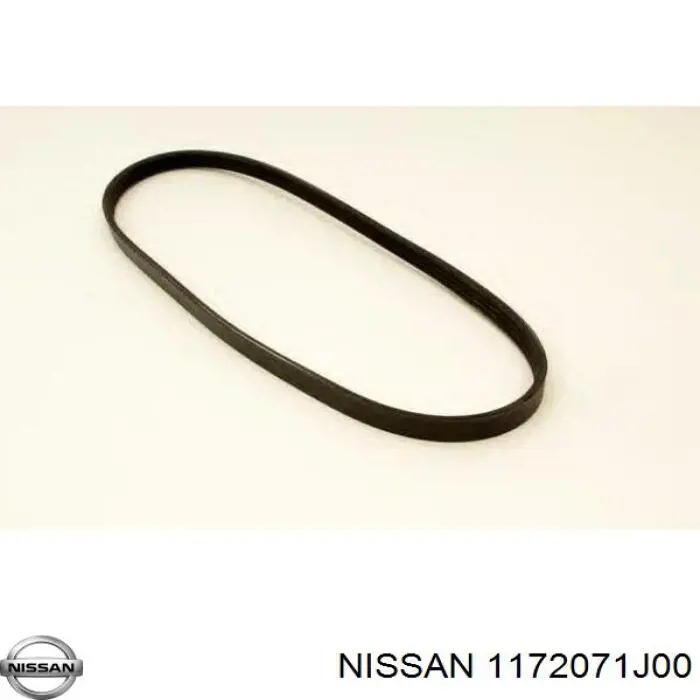 1172071J00 Nissan 