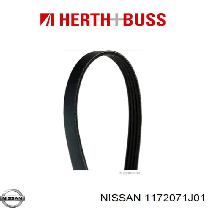 Клиновый ремень Nissan/Infiniti 1172071J01 цена, от 5.07 USD