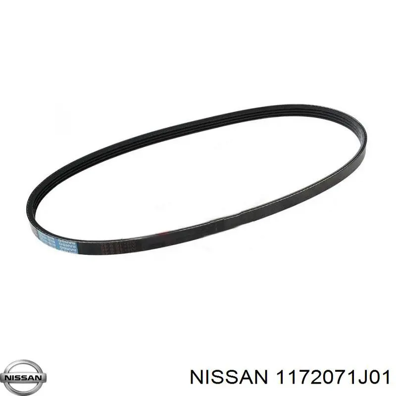 Купить 1172071J01 Nissan/Infiniti Ремень генератора