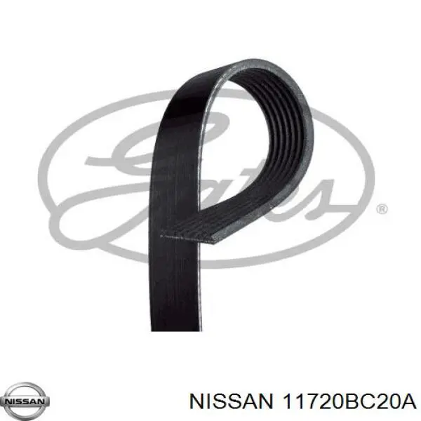 11720BC20A Nissan ремень генератора