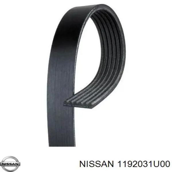 1192031U00 Nissan ремень генератора
