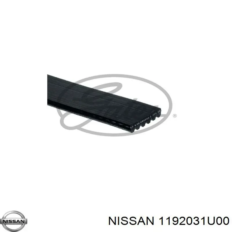 Ремень генератора 1192031U00 Nissan/Infiniti