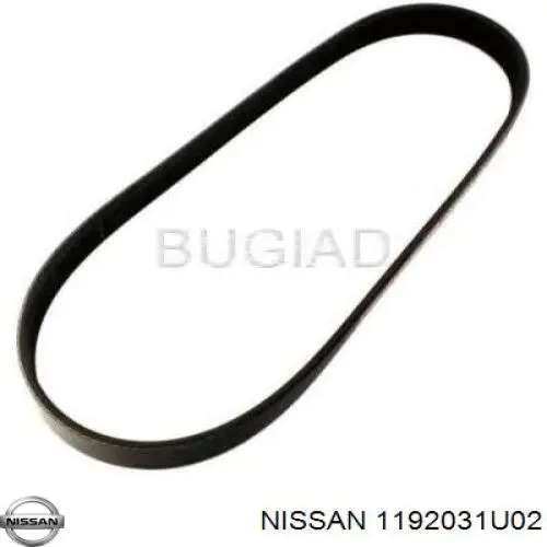 Купить 1192031U02 Nissan/Infiniti Ремень генератора