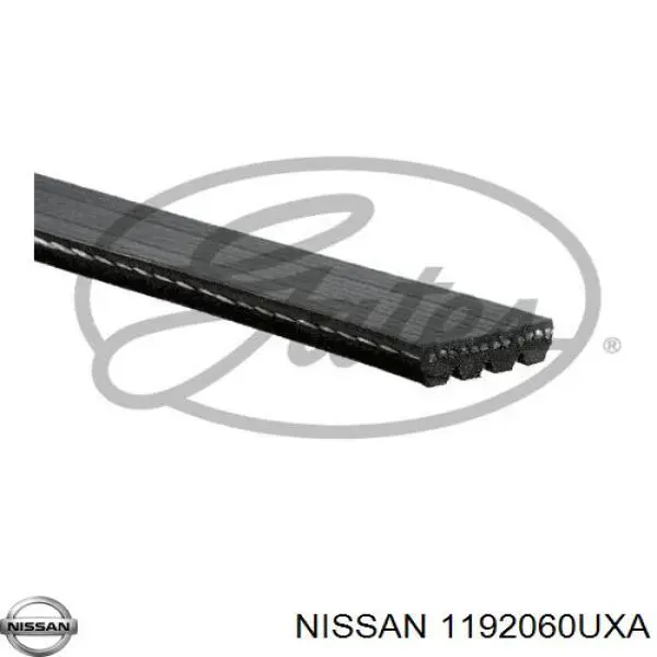 1192060UXA Nissan/Infiniti Поликлиновый ремень