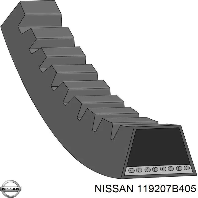  119207B405 Nissan