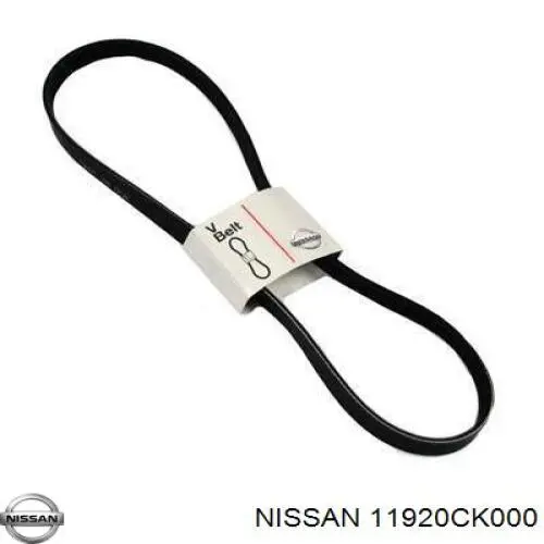  11920CK000 Nissan