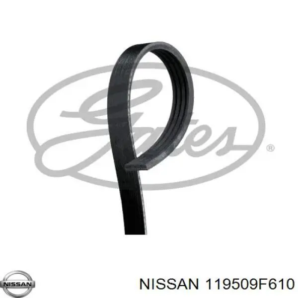 Клиновый ремень Nissan/Infiniti 119509F610 цена, от 7.21 USD