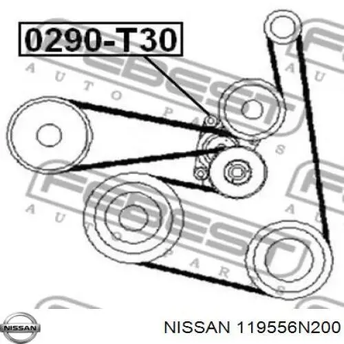 119556N200 Nissan натяжитель приводного ремня