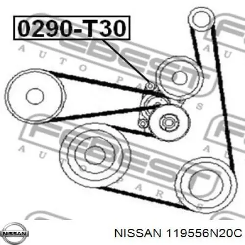 119556N20C Nissan/Infiniti