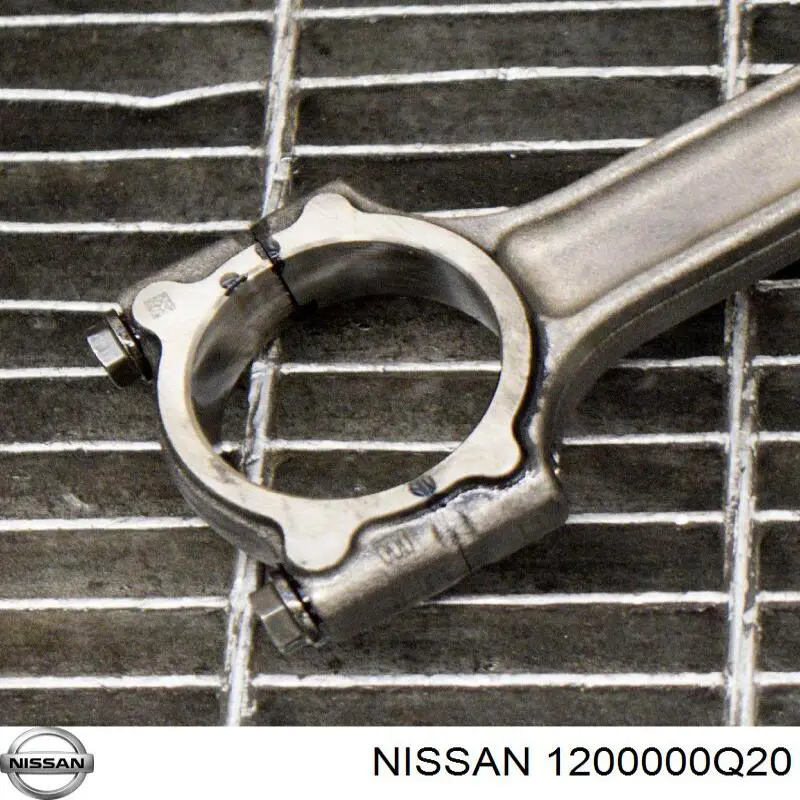  1200000Q20 Nissan/Infiniti