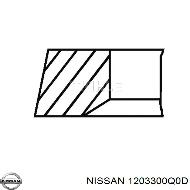 1203300Q0D Nissan 