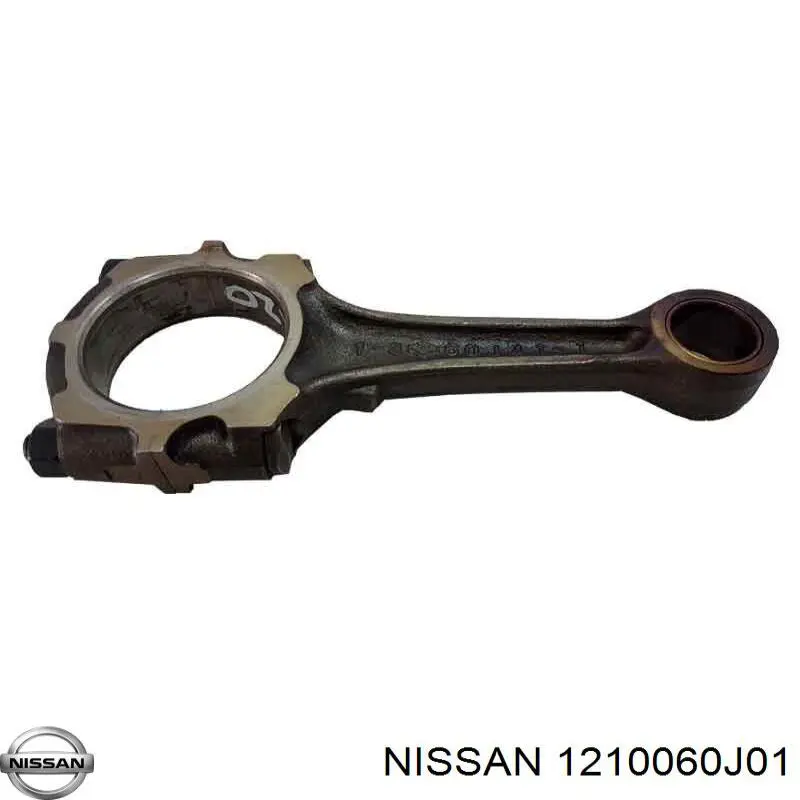  1210060J01 Nissan