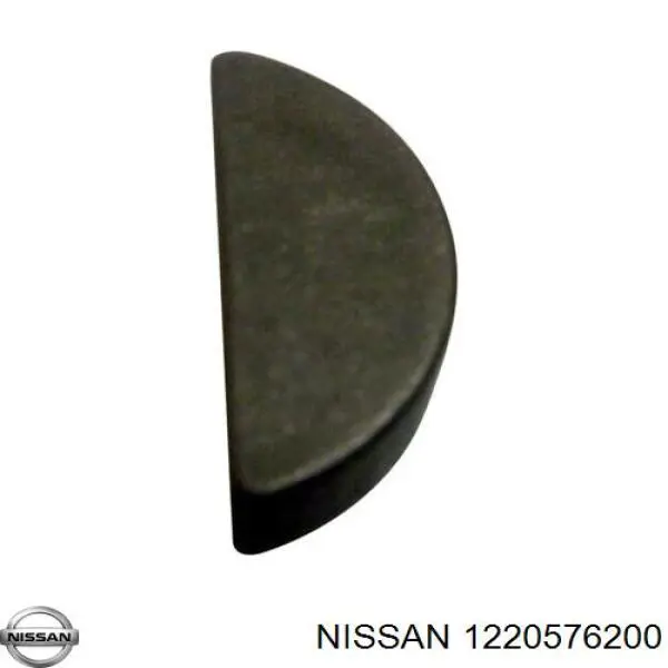  1220576200 Nissan