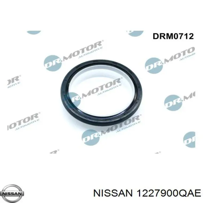 1227900QAE Nissan 