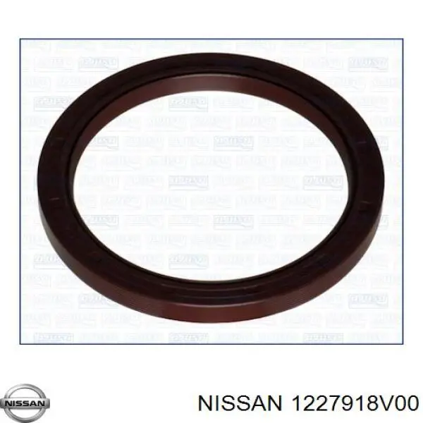 1227918V00 Nissan 