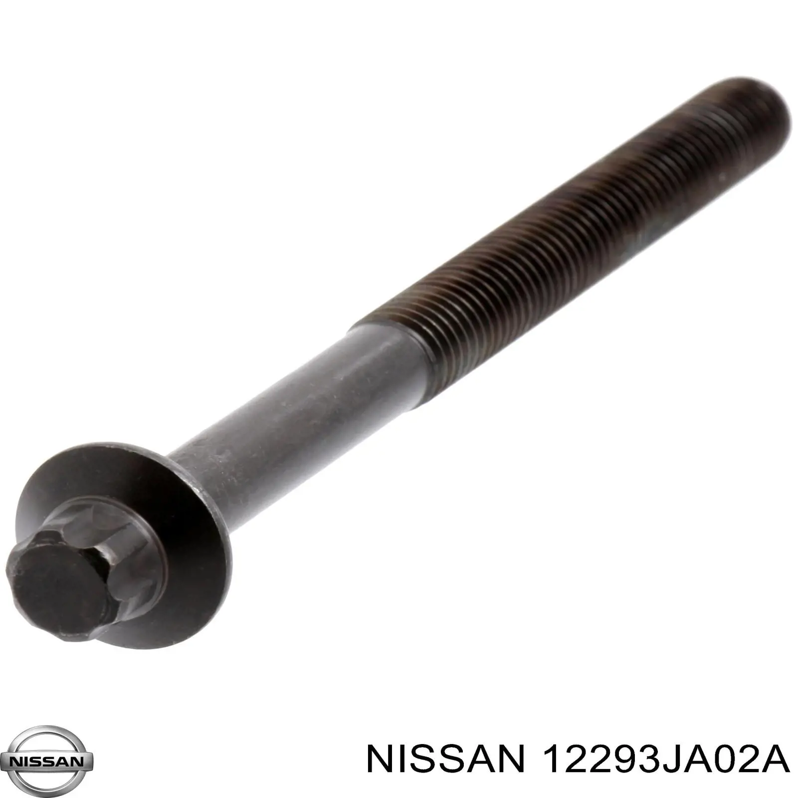 12293JA02A Nissan 