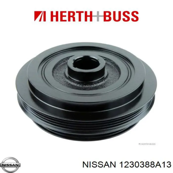 1230388A13 Nissan polia de cambota