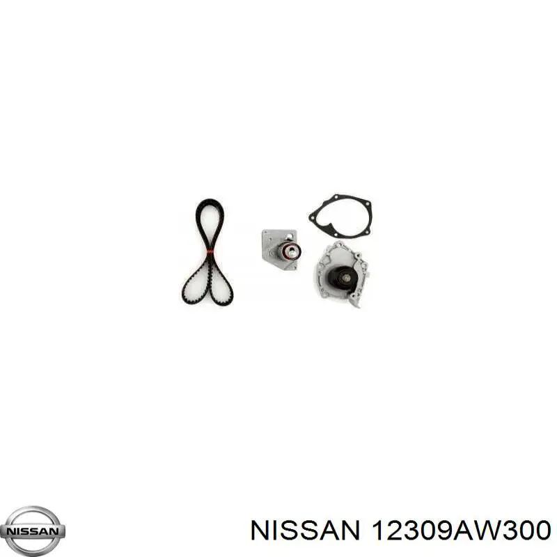 Болт шкива коленвала Nissan/Infiniti 12309AW300 цена, от 9.89 USD
