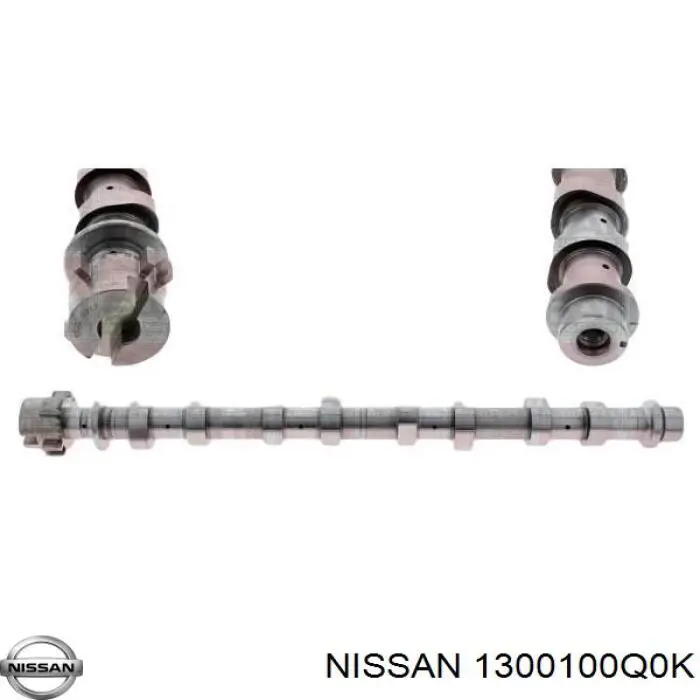 1300100Q0K Nissan 