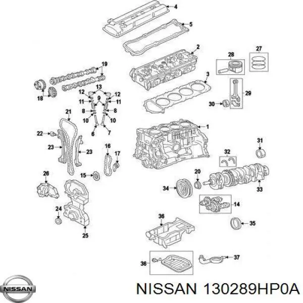 130289HP0A Nissan/Infiniti Цепь