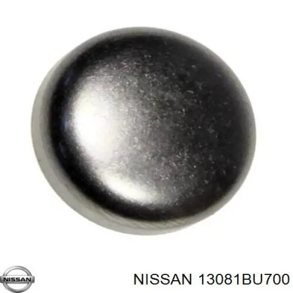 13081BU700 Nissan 